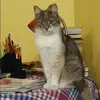 Отзыв от Татьяна Копылова